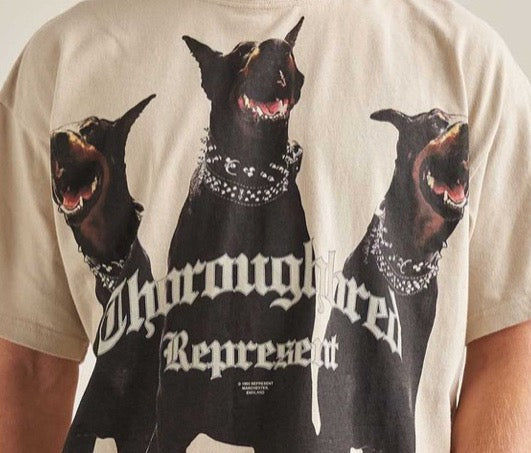 Represent Exclusive - prezentare produs