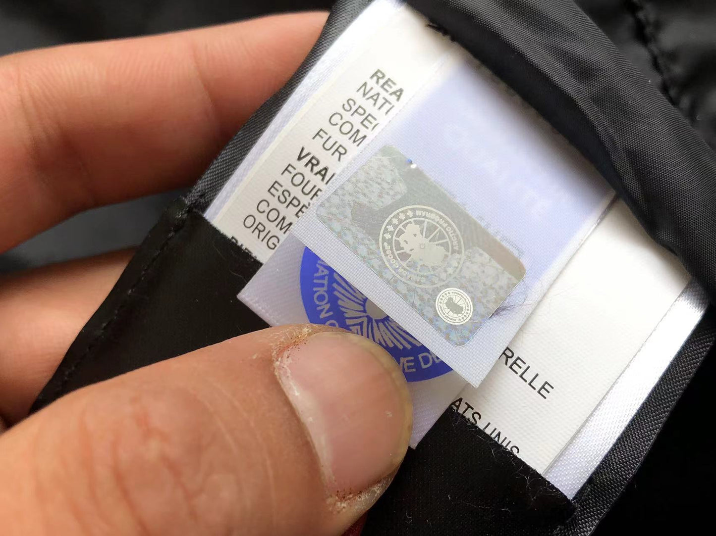 Canada Goose Down Geacă - prezentare produs