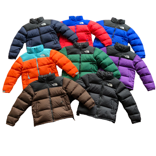 The North Face Nuptse 700 All Colors - prezentare produs