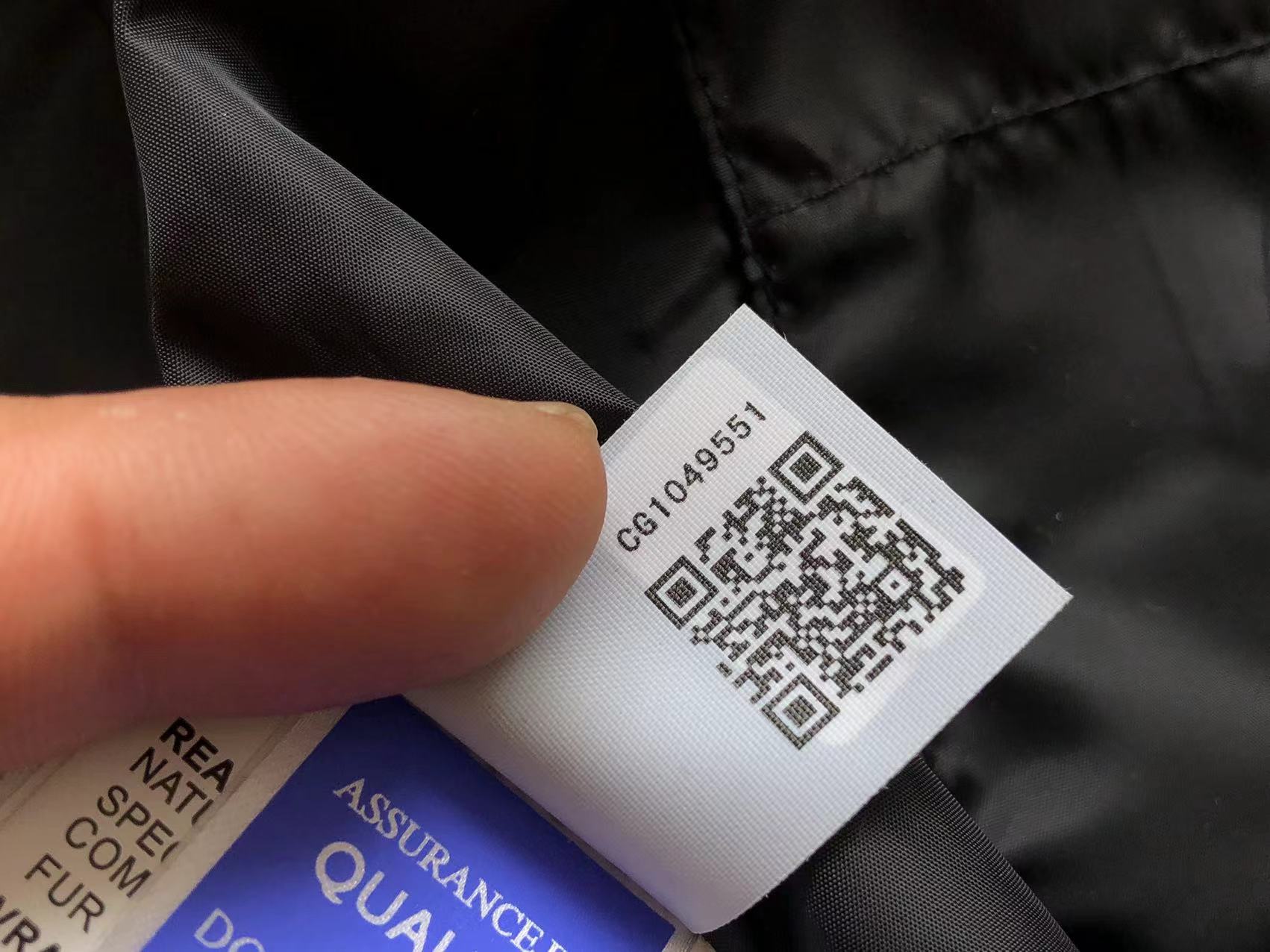 Canada Goose Down Geacă - prezentare produs