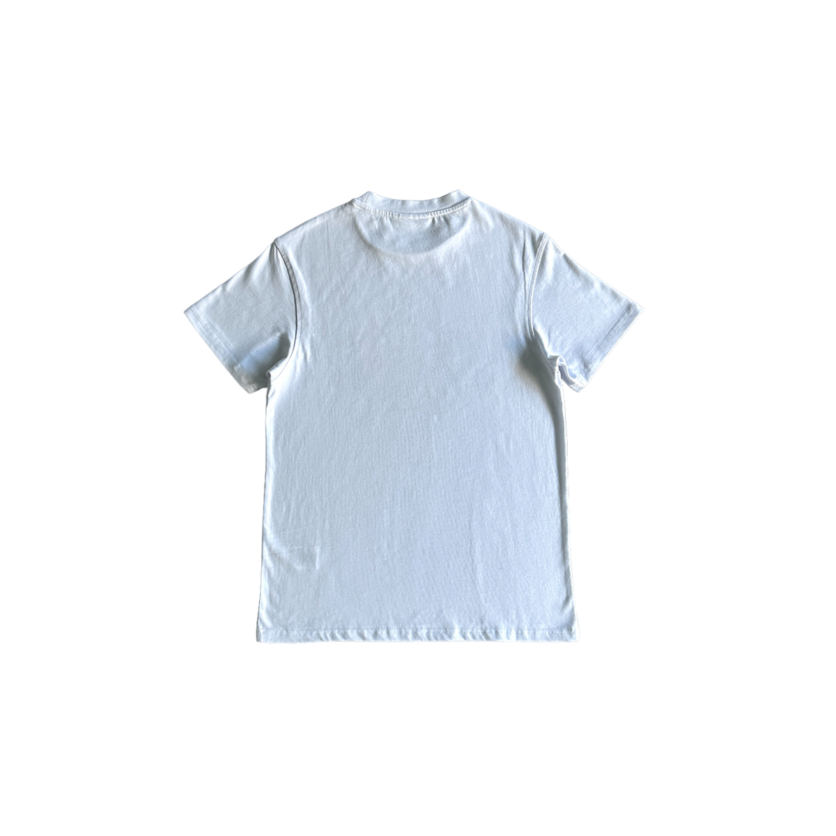 Syna X Glastonbury Festival Tricou - prezentare produs
