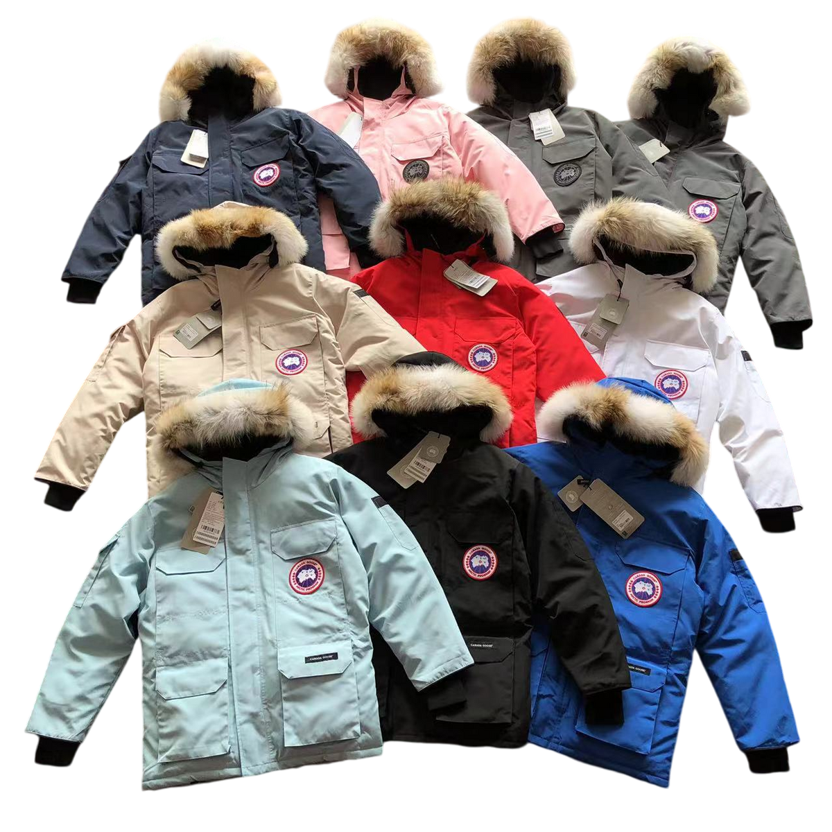 Canada Goose Down Geacă - prezentare produs