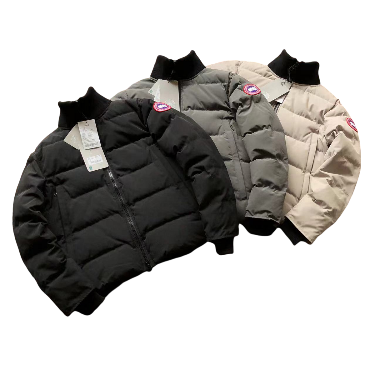 Canada Goose Geacă - prezentare produs