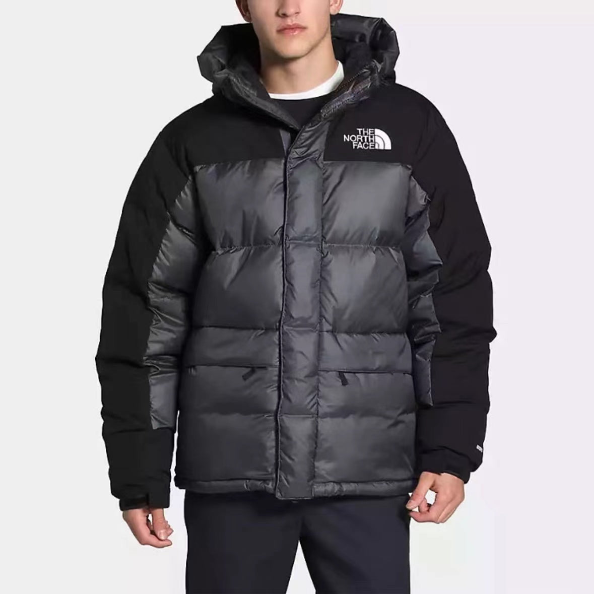 The North Face Winter Geacă - prezentare produs