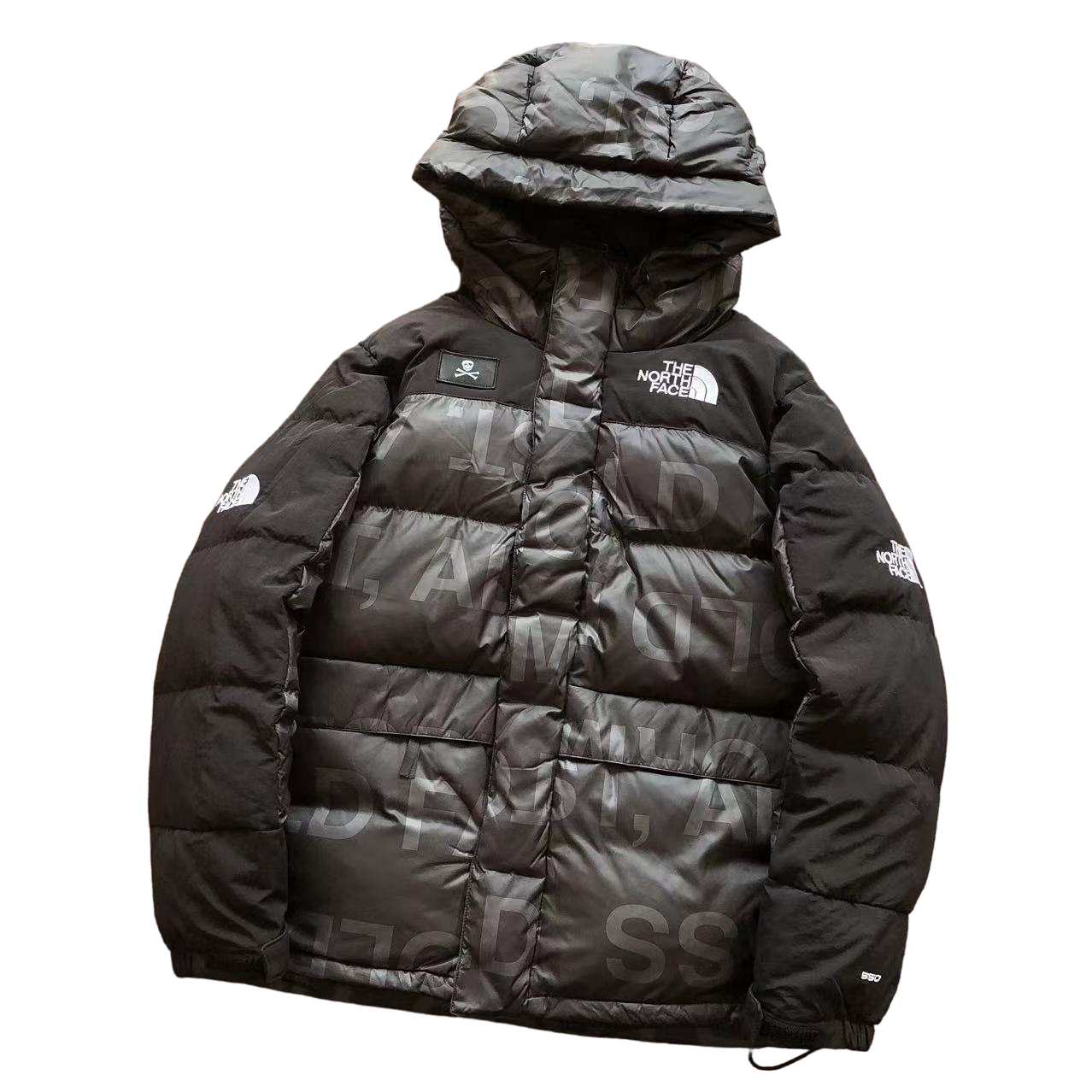 The North Face Geacă Hold Fast All Storms Pass - prezentare produs