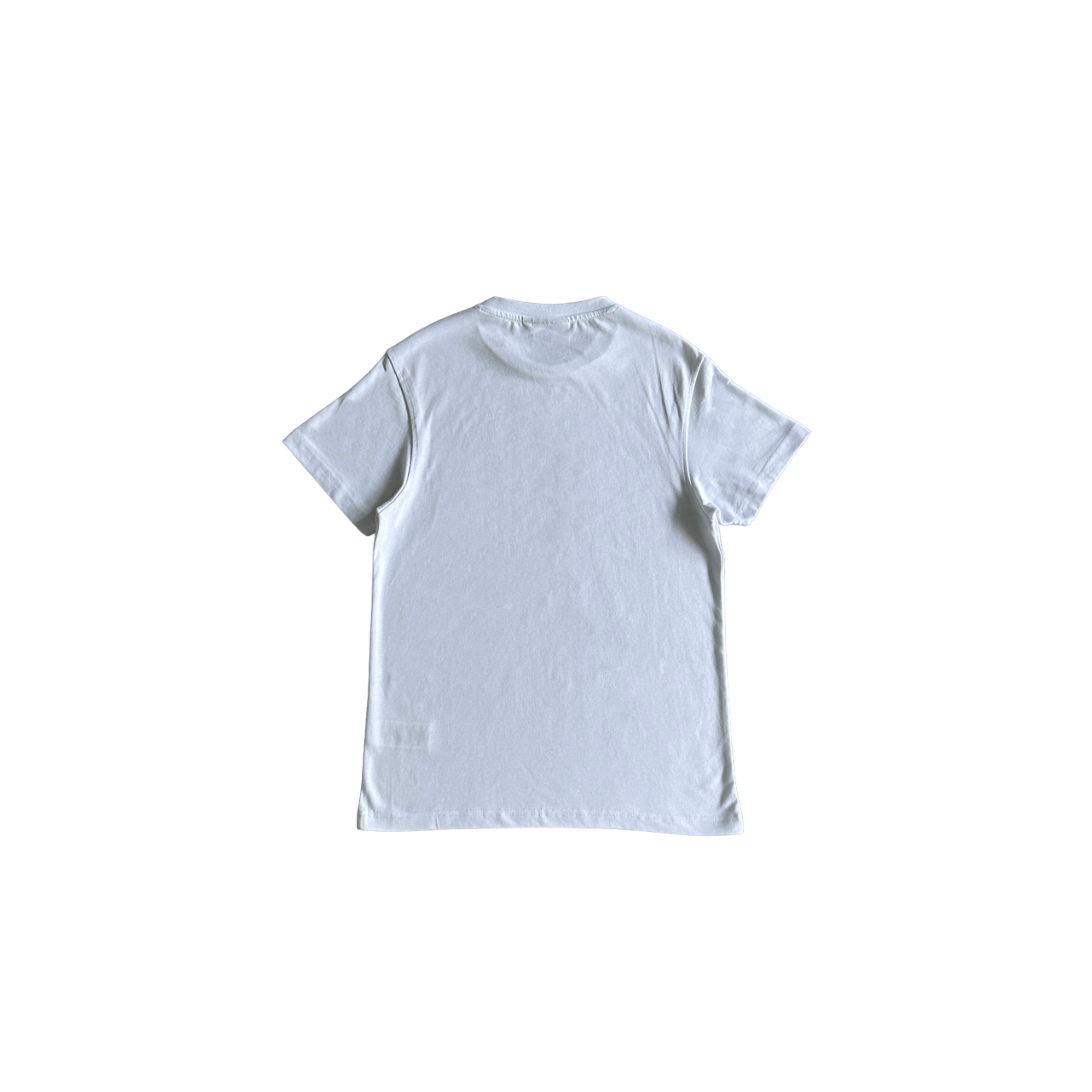 Syna Snow Mountain Tricou - prezentare produs