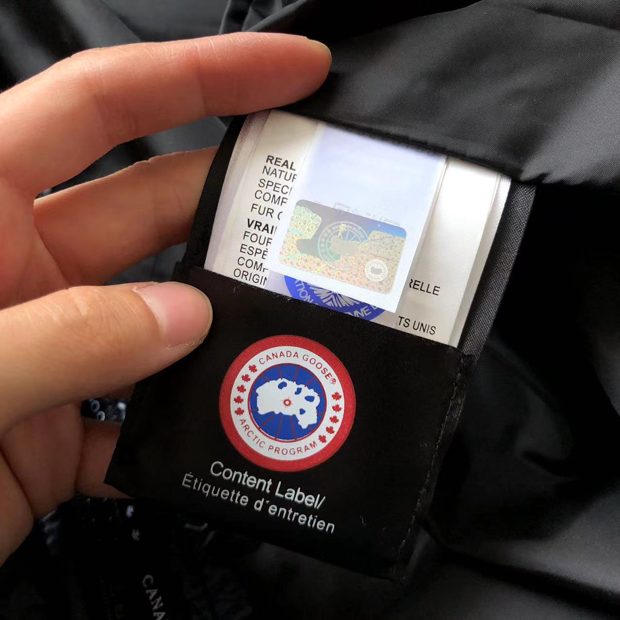 Canada Goose Down Geacă - prezentare produs