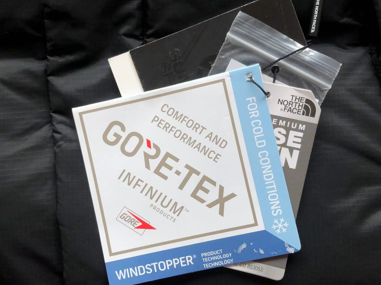 The North Face Summit Ediție Gore Tex Infinium Pantofi sport - prezentare produs