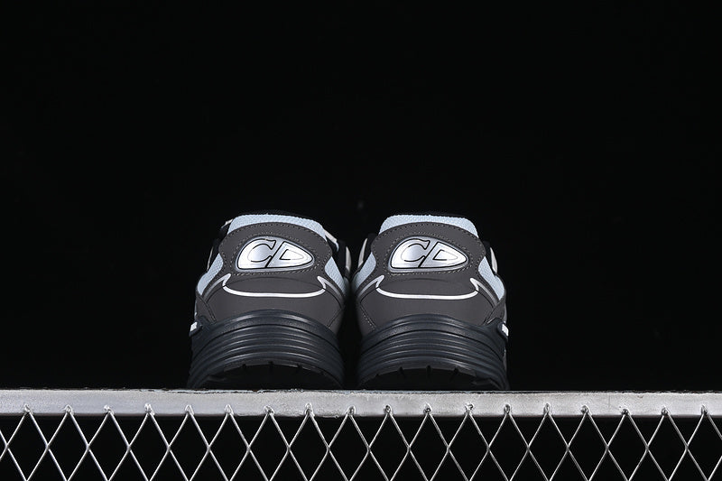 Dior B30 Gri Pantofi sport - prezentare produs