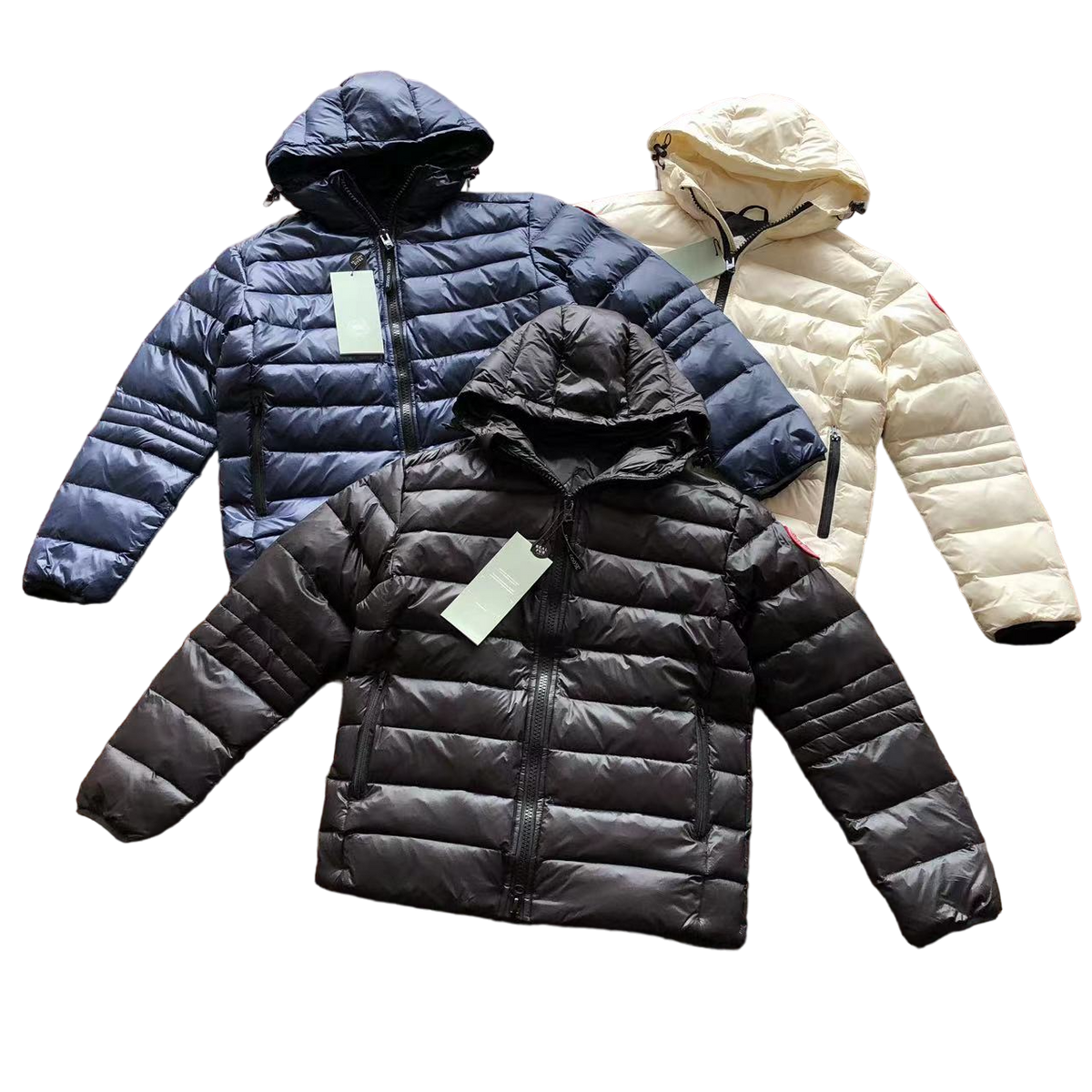 Canada Goose Down Geacă - prezentare produs