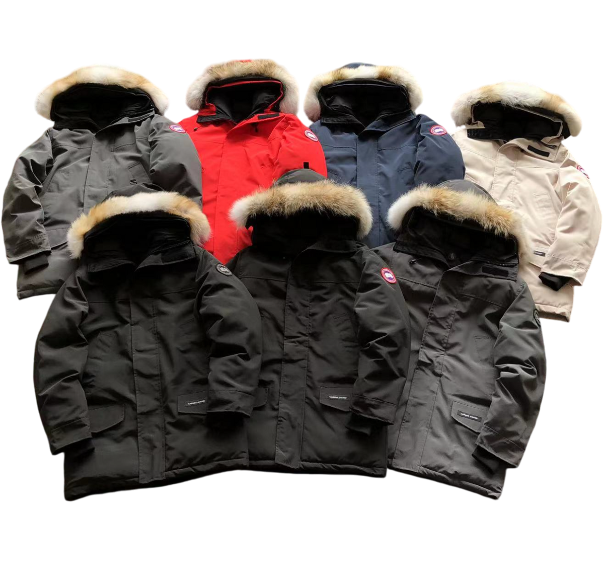Canada Goose Down Geacă - prezentare produs