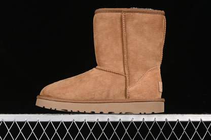 UGG Clasic - prezentare produs