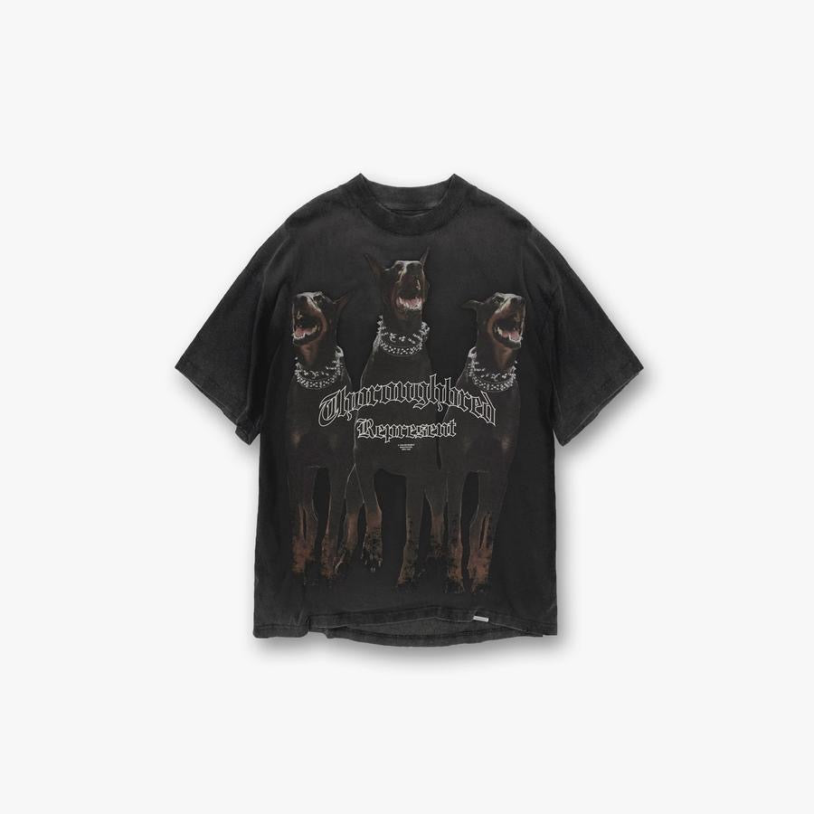 Represent Exclusive - prezentare produs