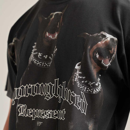 Represent Exclusive - prezentare produs
