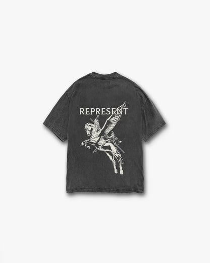 Represent Exclusive - prezentare produs