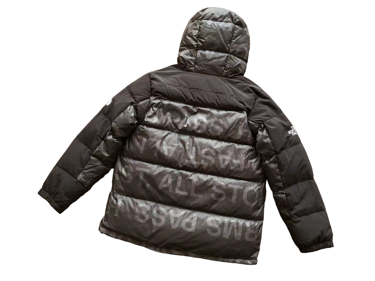 The North Face Geacă Hold Fast All Storms Pass - prezentare produs