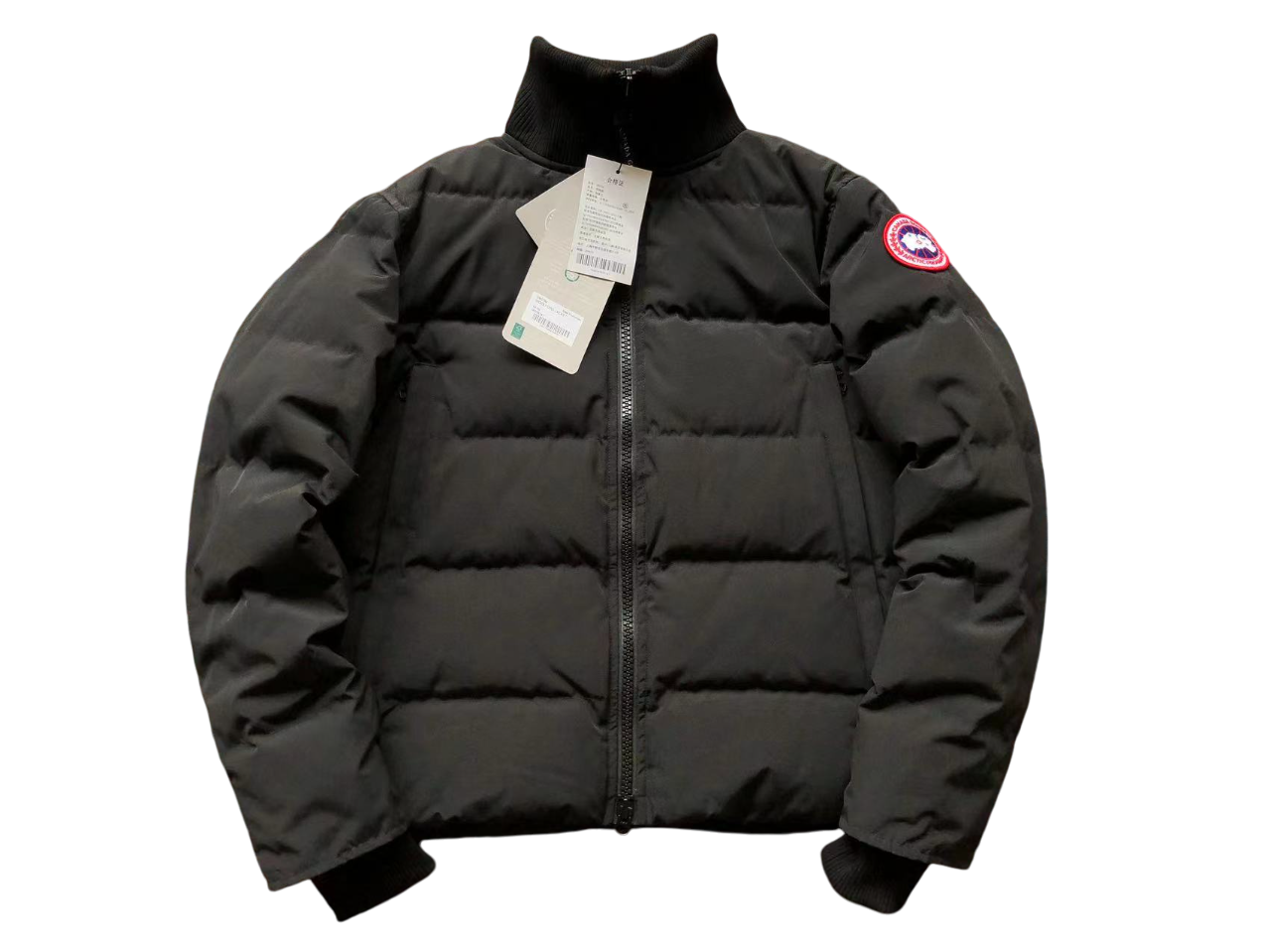 Canada Goose Geacă - prezentare produs