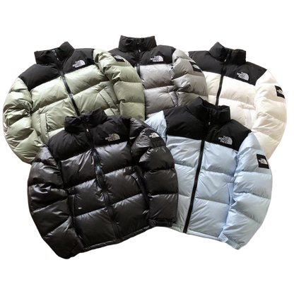 The North Face Nuptse Shiny - prezentare produs