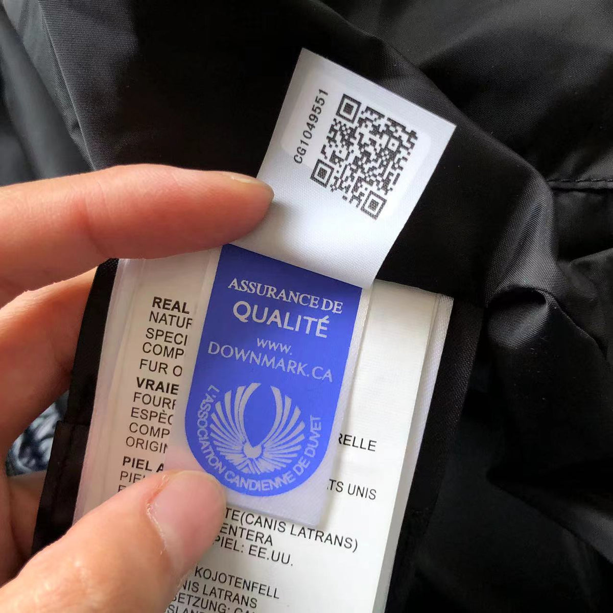 Canada Goose Down Geacă - prezentare produs