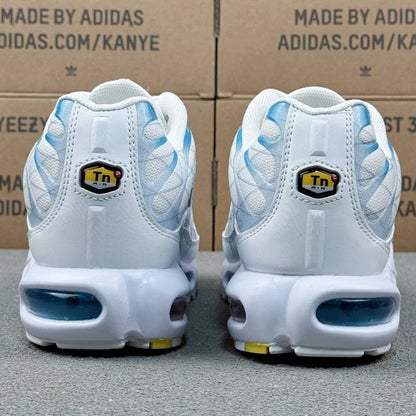 Nike TN Albastru Alb Pantofi sport - prezentare produs